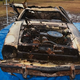 Image for article titled A Ford Pinto Was Found In A Creek 45 Years After Its Owner Disappeared